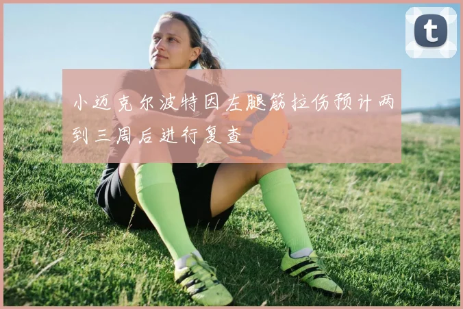 小迈克尔波特因左腿筋拉伤预计两到三周后进行复查